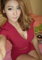 Busty Escort Girl For You Bangkok