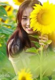 Kate Outcall Escort Oil Massage Golden Shower Bangkok