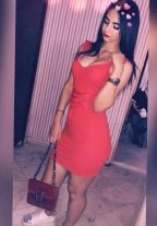 Intimate Satisfaction Escort Warda Beirut